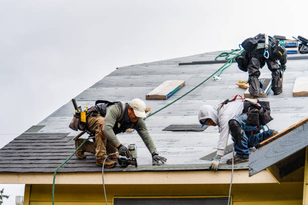 Professional Storm Damage Roof Repair technician working in Austin, KY